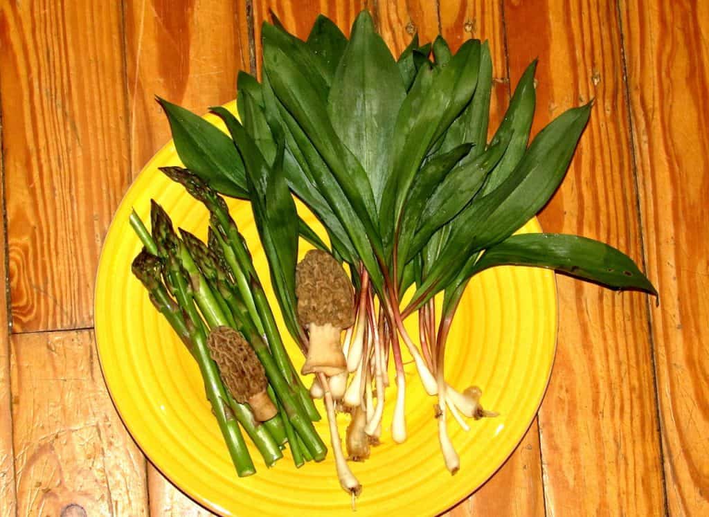morels, ramps asparagus