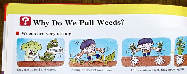 elementary school lesson